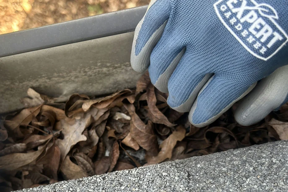 Gutter Cleaning Balch Springs