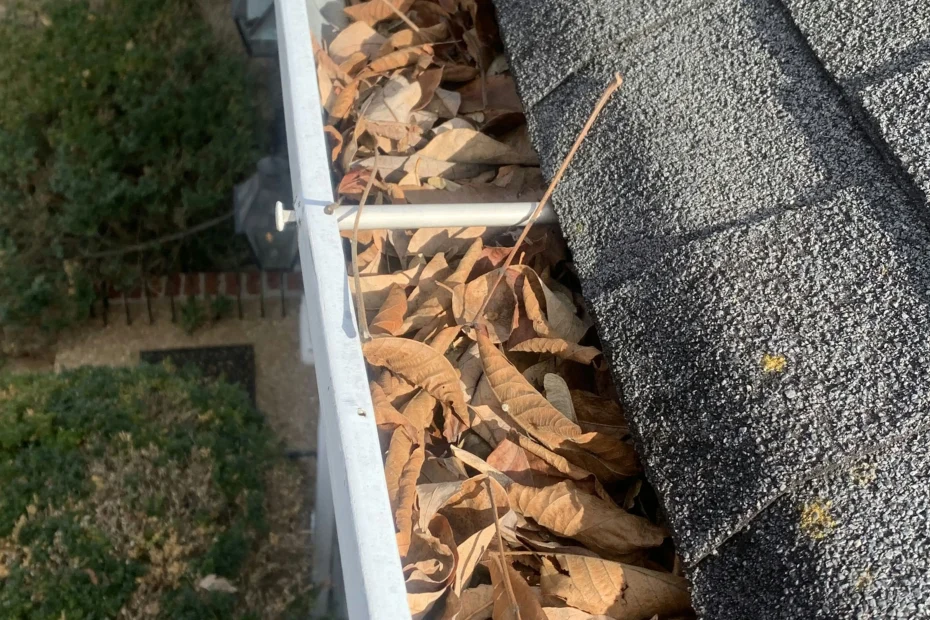 Gutter Cleaning Balch Springs