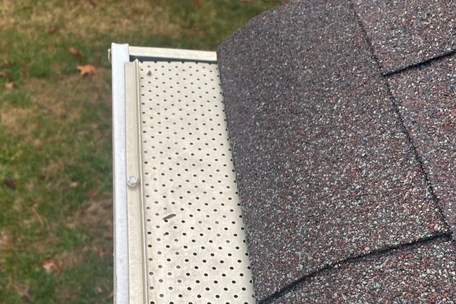 Gutter Cleaning Balch Springs