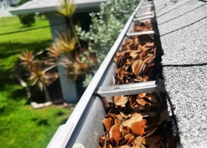 Gutter Cleaning Balch Springs home page